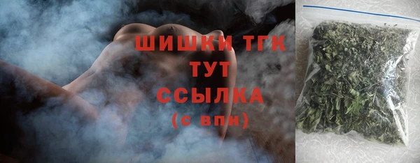 таблы Бородино