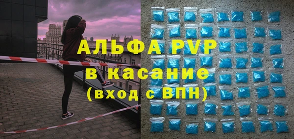 таблы Бородино