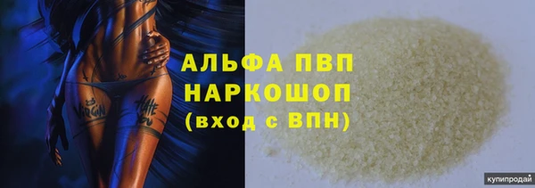 таблы Бородино