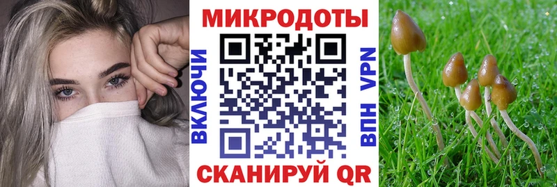 магазин  наркотиков  блэк спрут зеркало  Галлюциногенные грибы ЛСД  Семёнов 